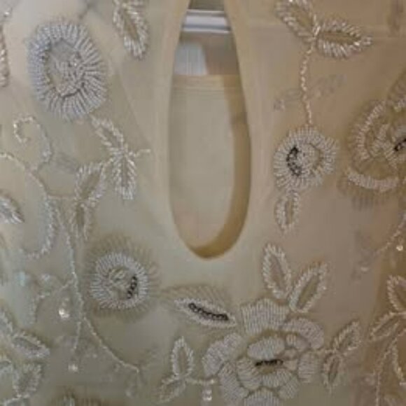 ZARA LIMITED EDITION Embellished Mesh Midi Shift Dress NWOT - $60 FIRM PRICE - Picture 4 of 8